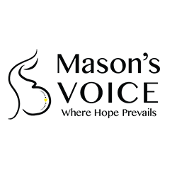 masons voice logo