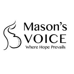 masons voice logo